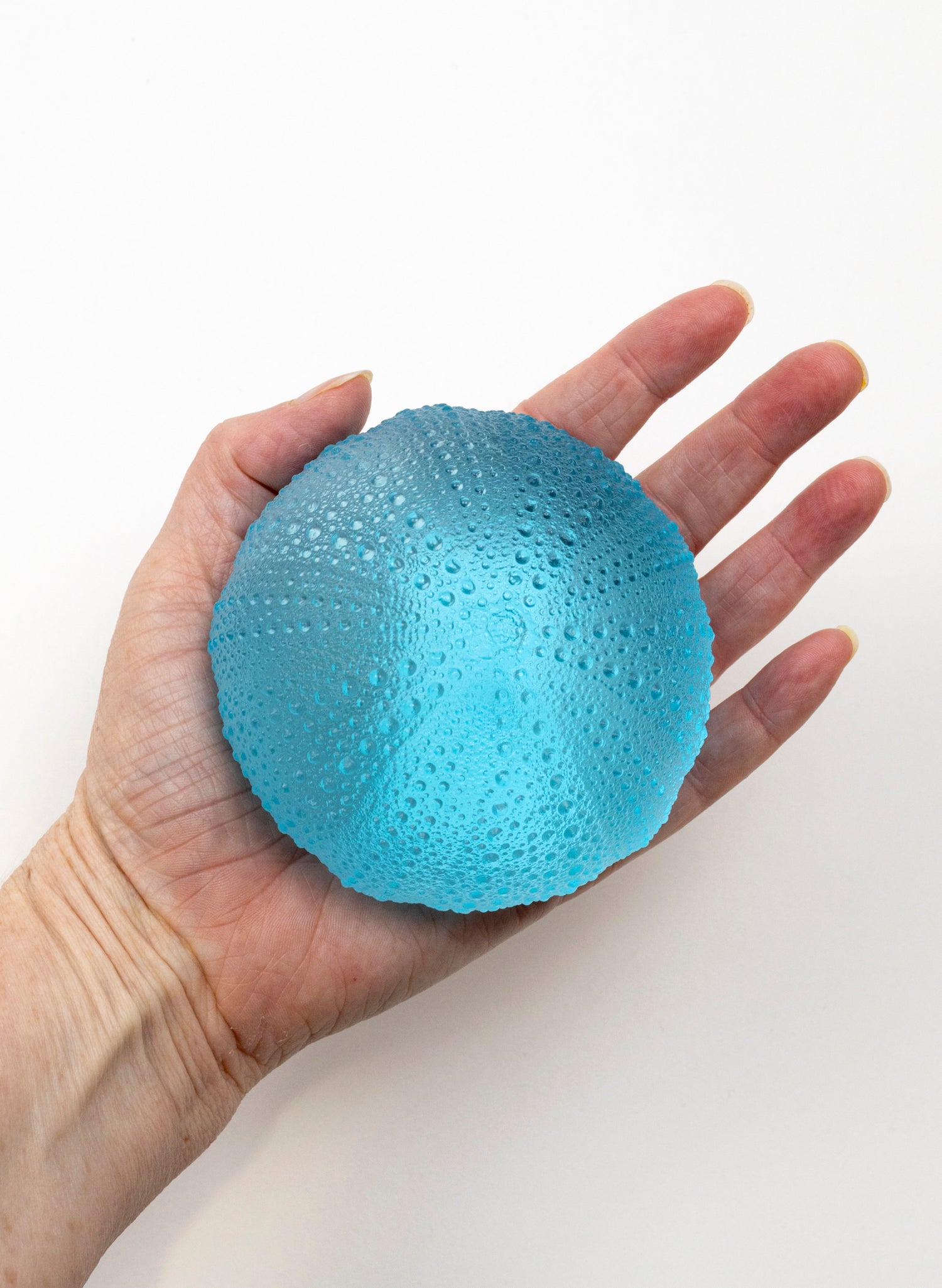 5XL Sea Urchin - Light Aqua