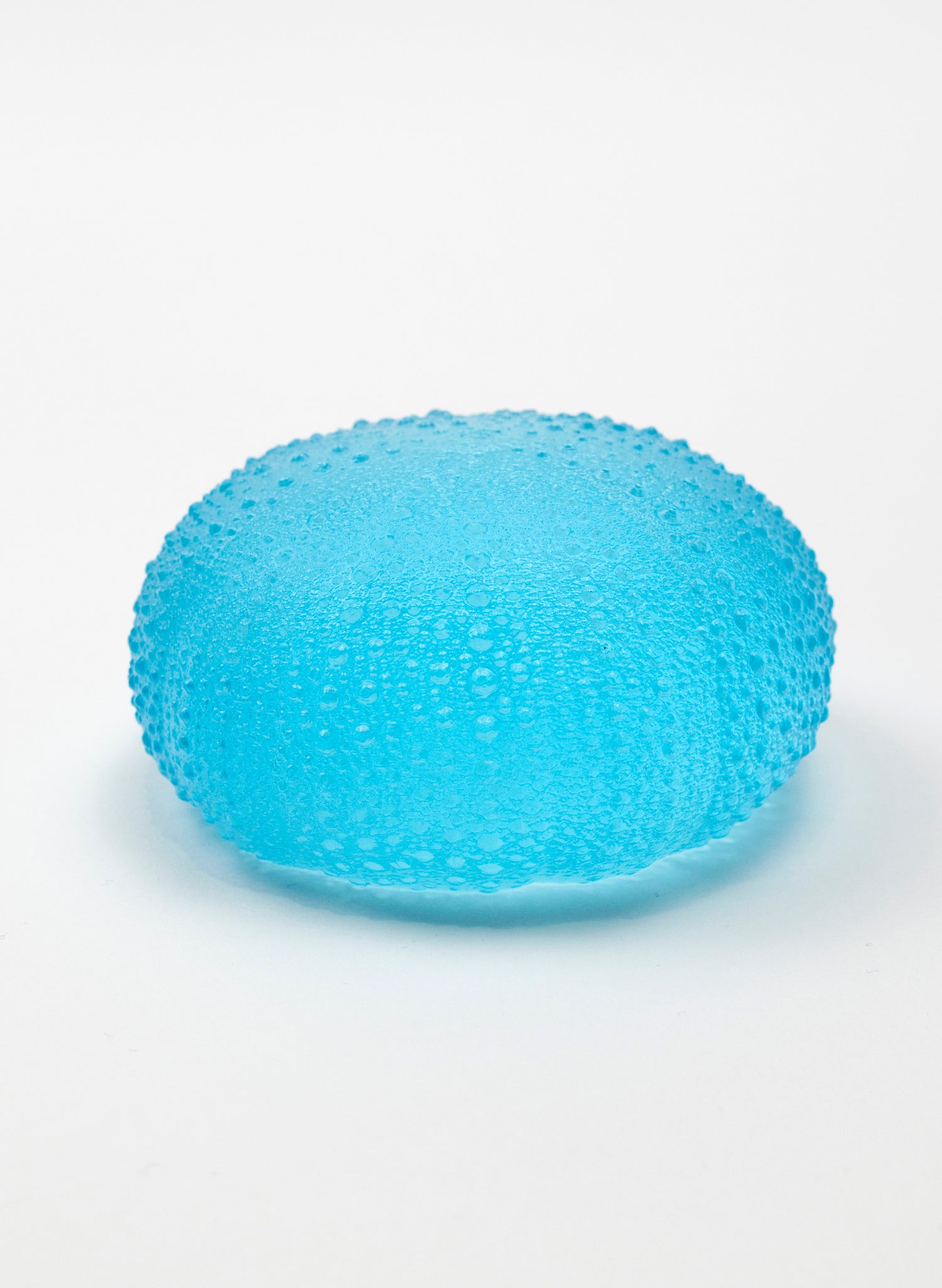 5XL Sea Urchin - Light Aqua