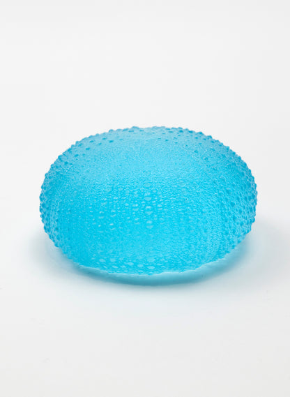 5XL Sea Urchin - Light Aqua