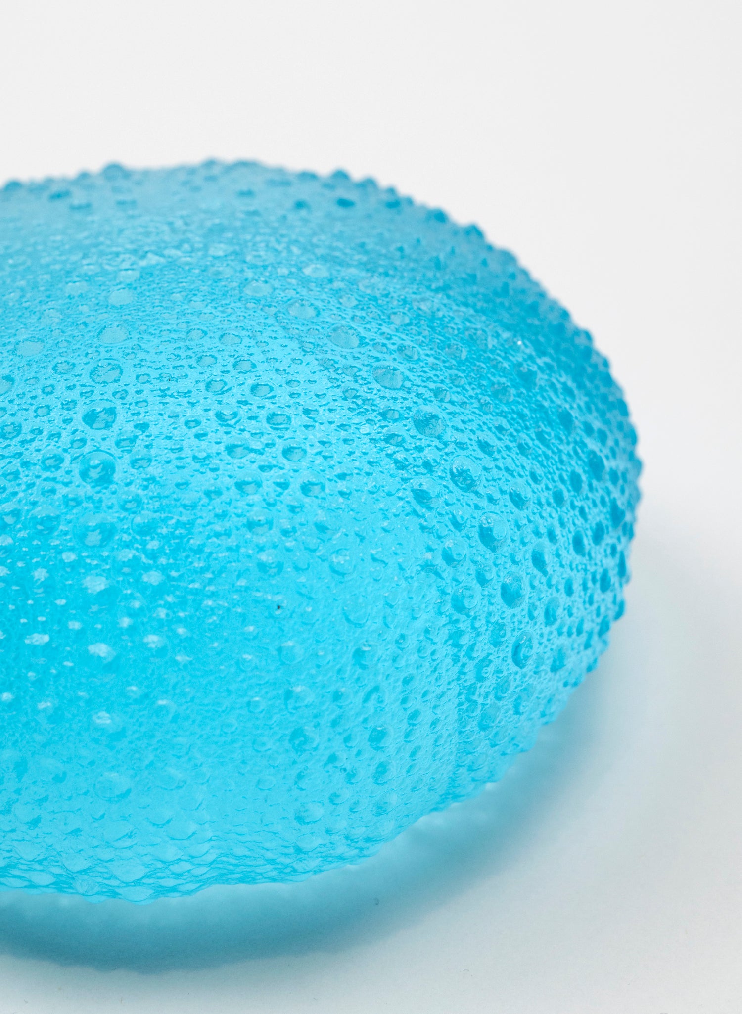 5XL Sea Urchin - Light Aqua