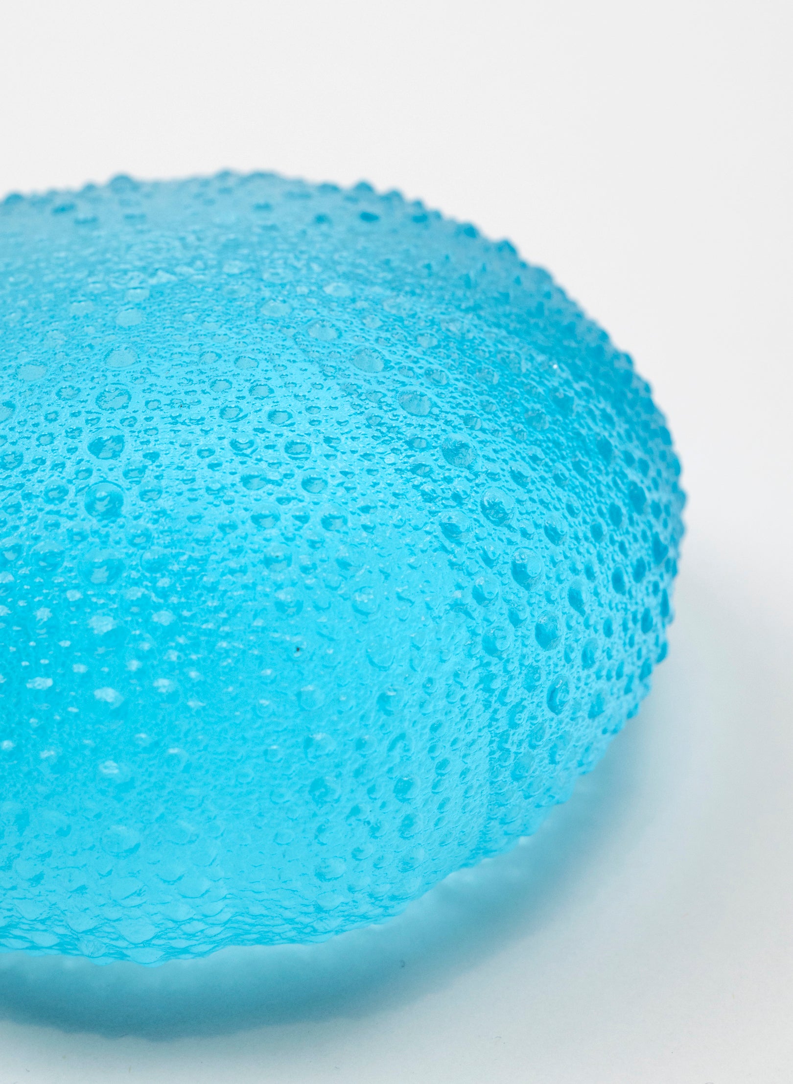 5XL Sea Urchin - Light Aqua