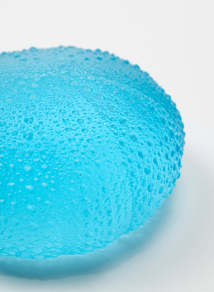 5XL Sea Urchin - Light Aqua