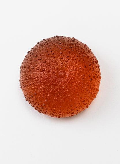 2XL Sea Urchin - Orange