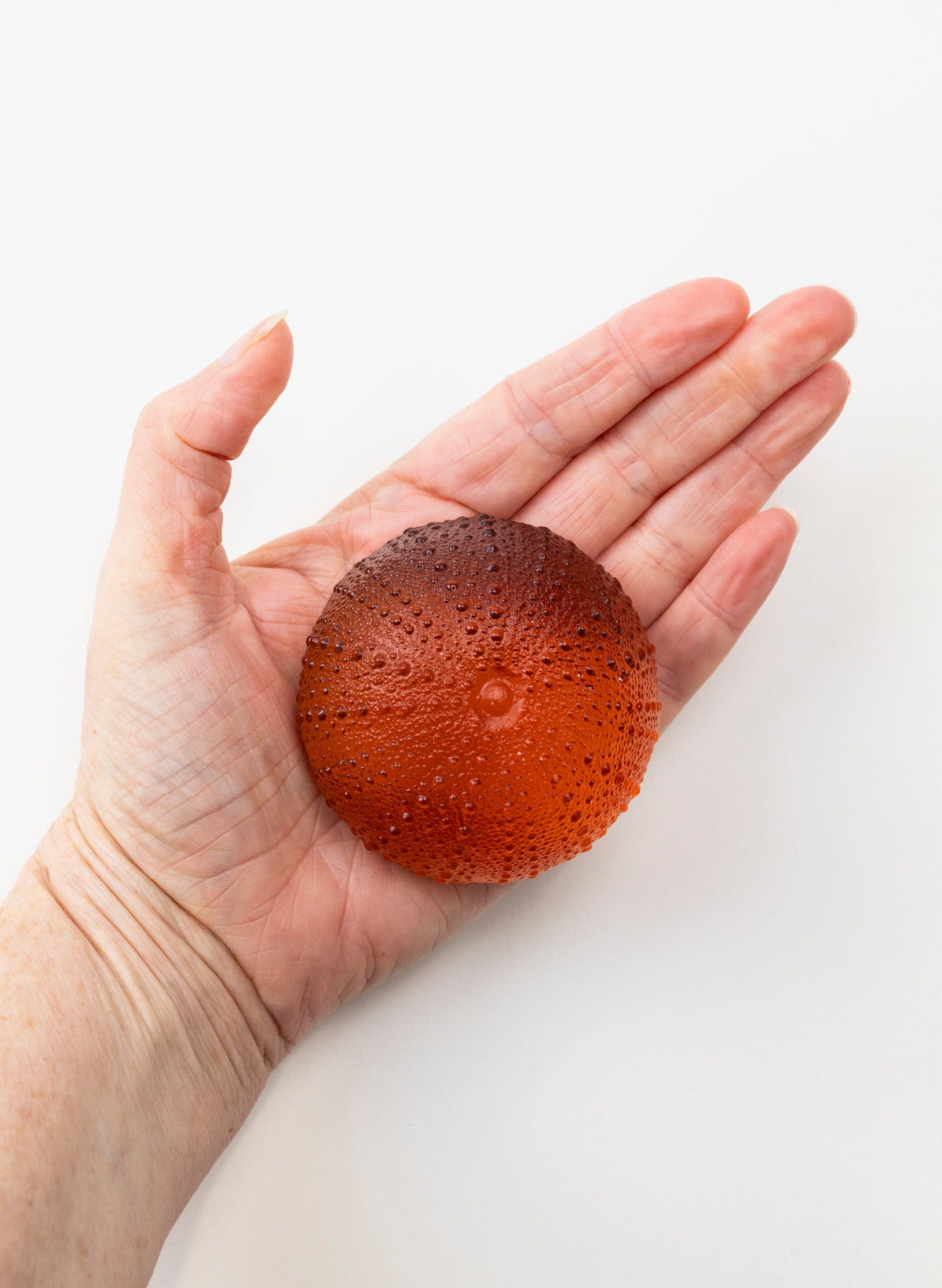 2XL Sea Urchin - Orange