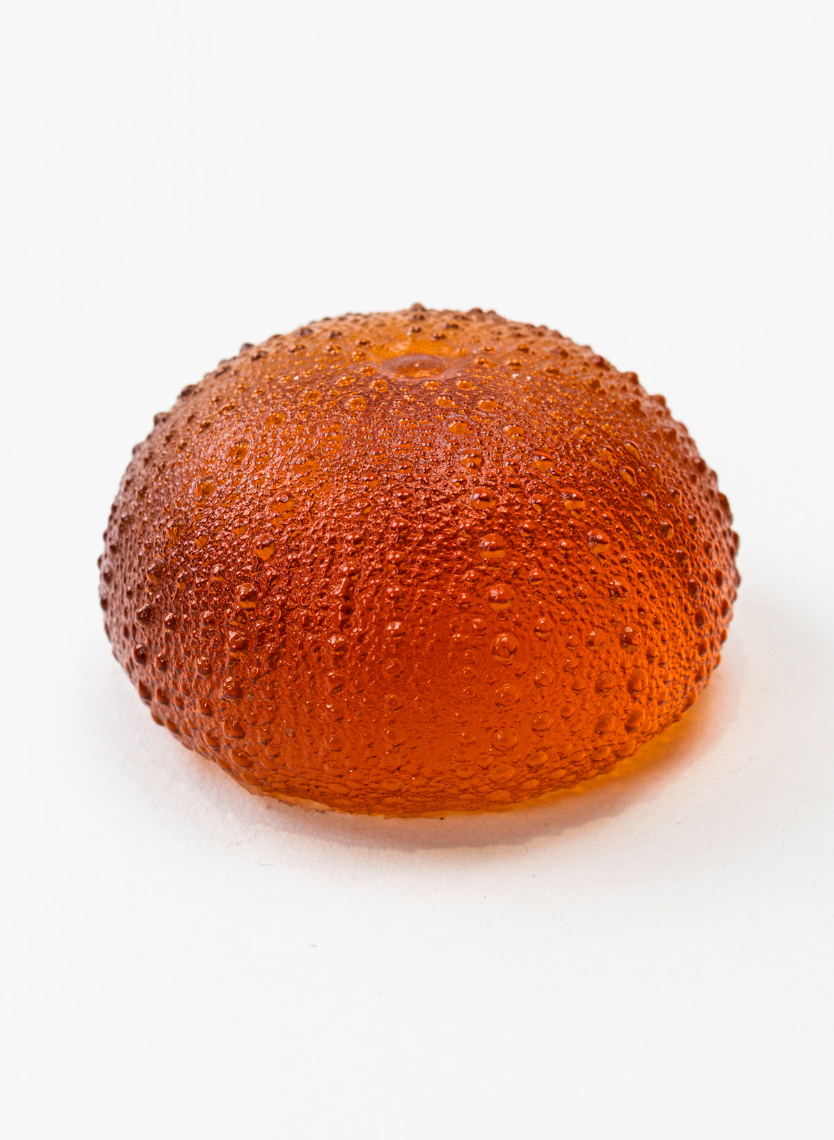 2XL Sea Urchin - Orange