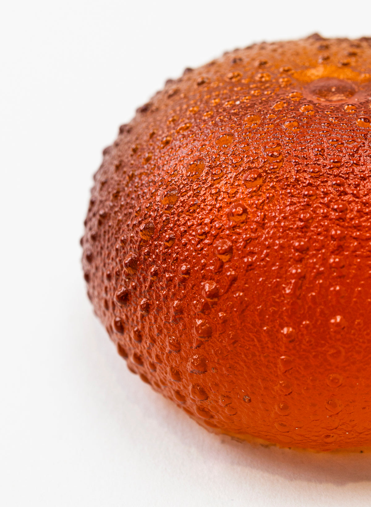 2XL Sea Urchin - Orange