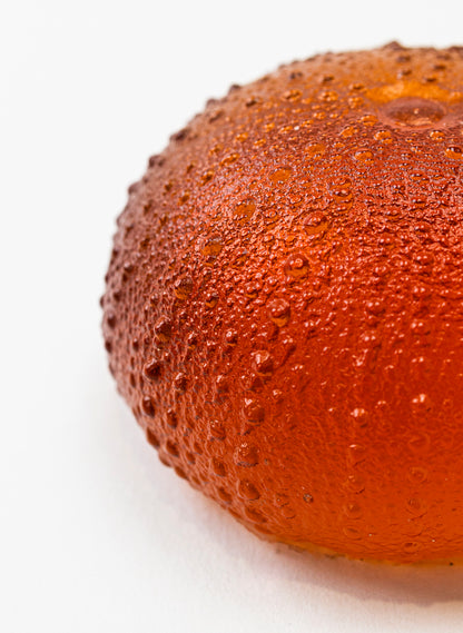 2XL Sea Urchin - Orange