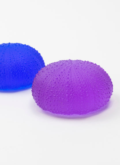 5XL Sea Urchin - Violet