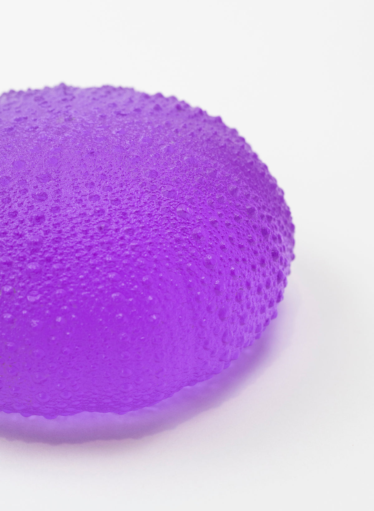 5XL Sea Urchin - Violet