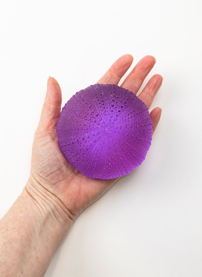 5XL Sea Urchin - Violet
