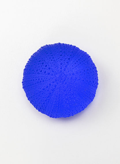 5XL Sea Urchin - Mid Blue