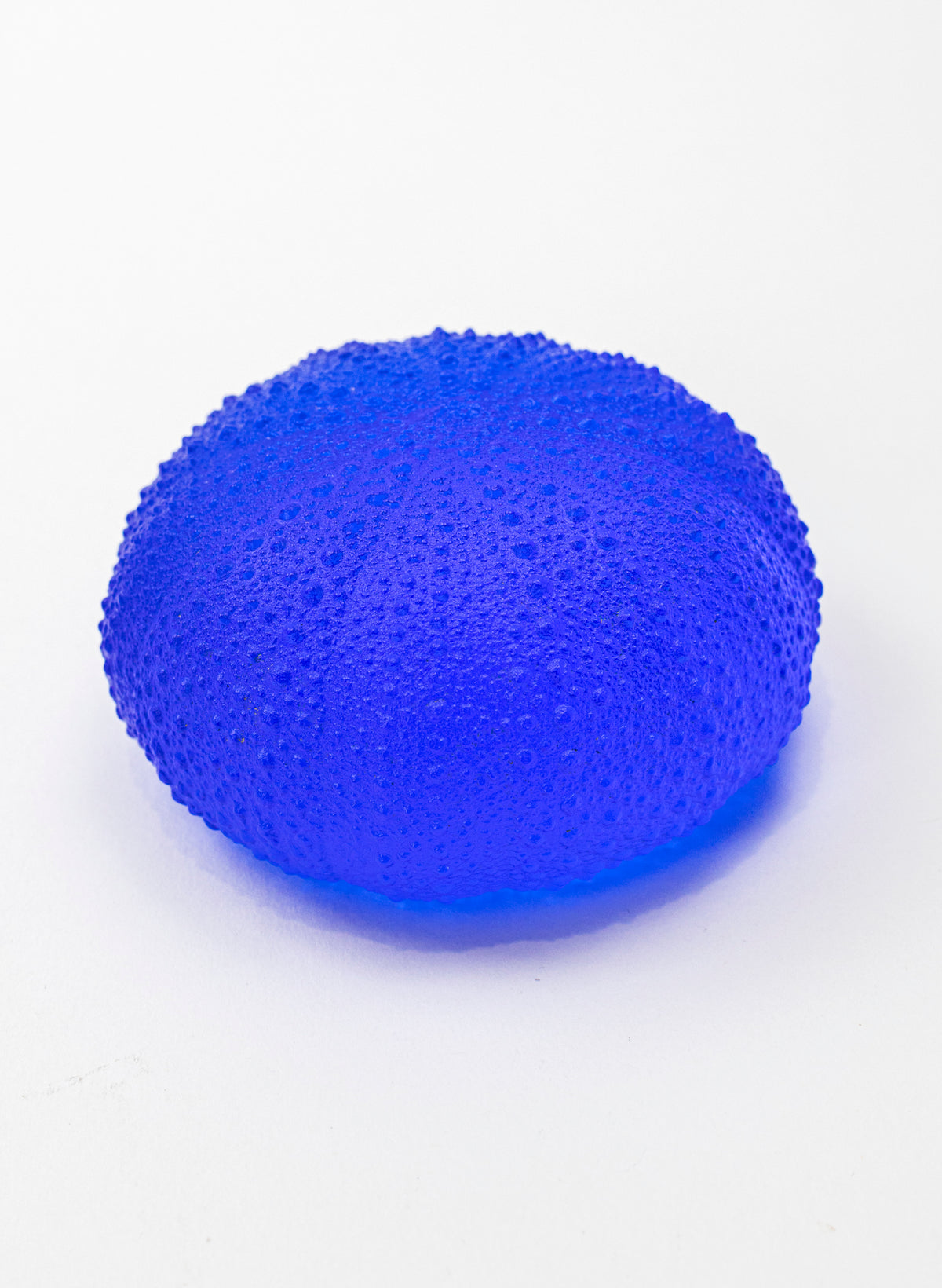 5XL Sea Urchin - Mid Blue