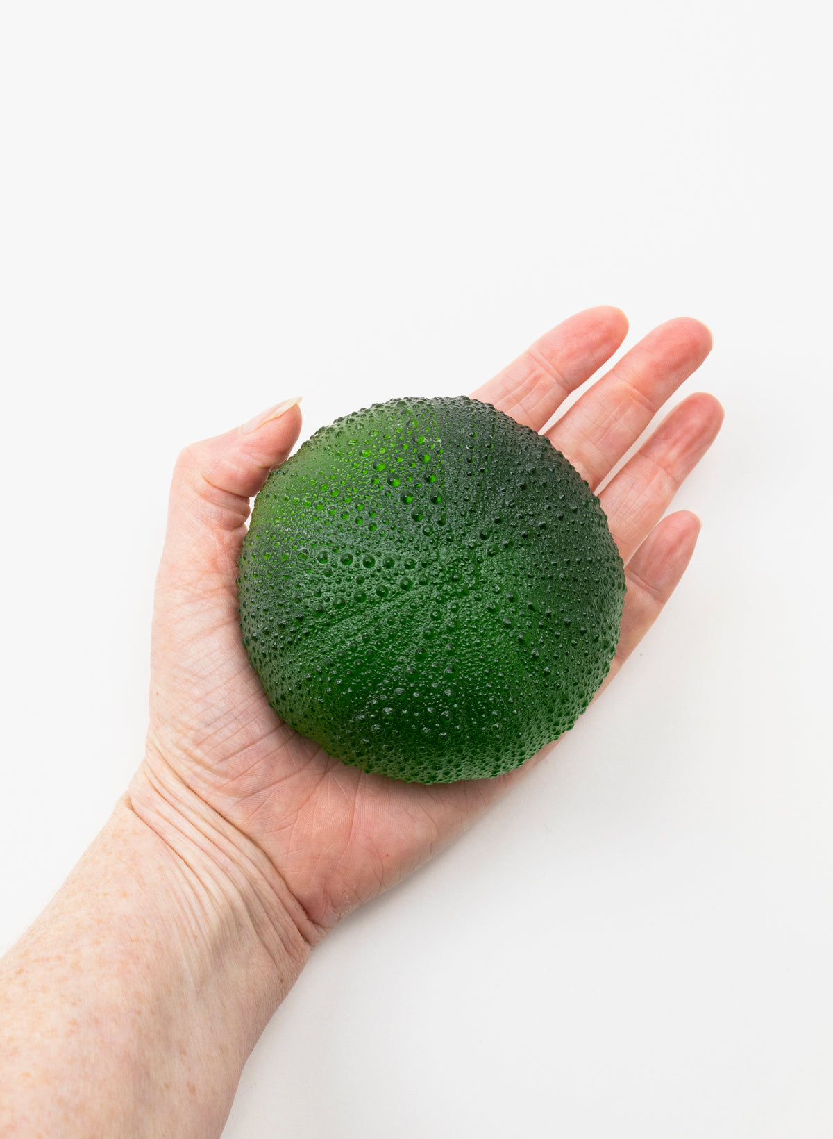 5XL Sea Urchin - Green