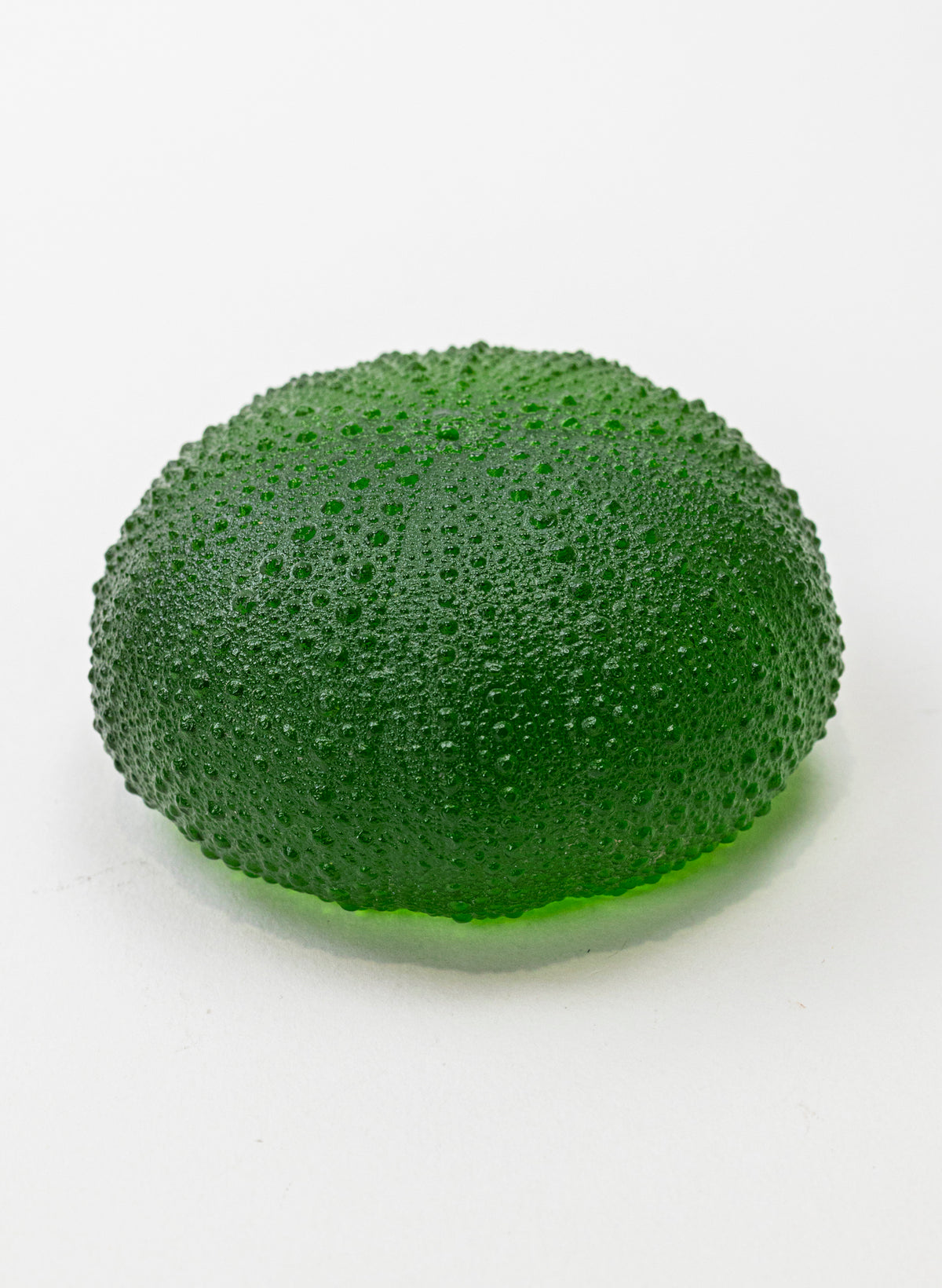 5XL Sea Urchin - Green