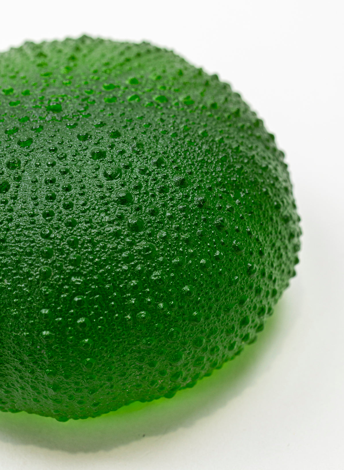 5XL Sea Urchin - Green