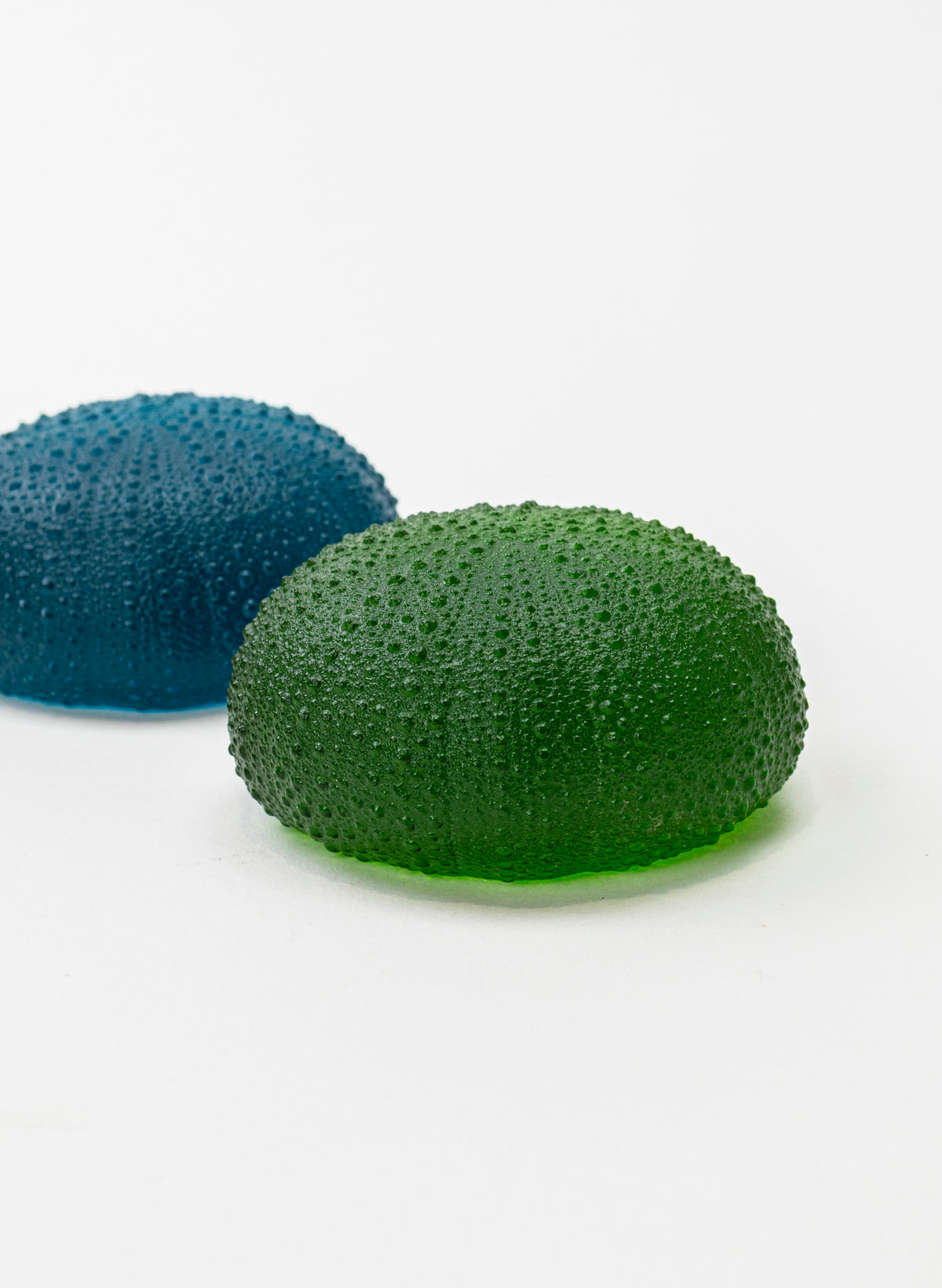 5XL Sea Urchin - Green