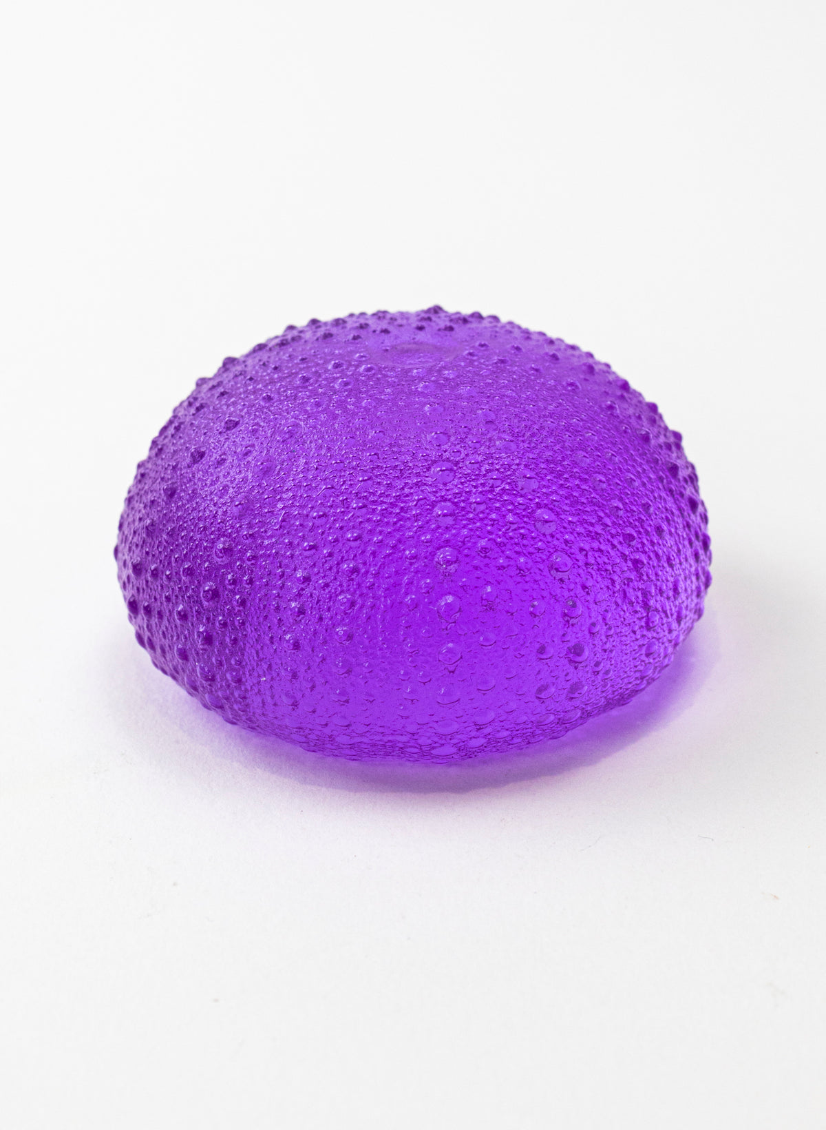 3XL Sea Urchin - Violet