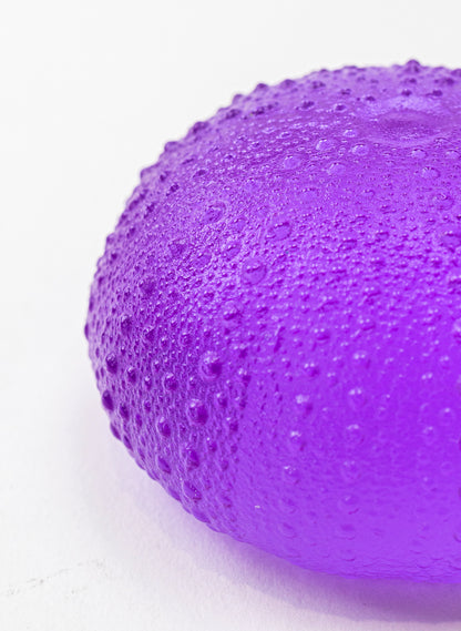3XL Sea Urchin - Violet