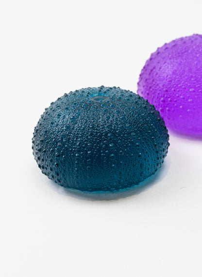 2XL Sea Urchin - Sea Blue