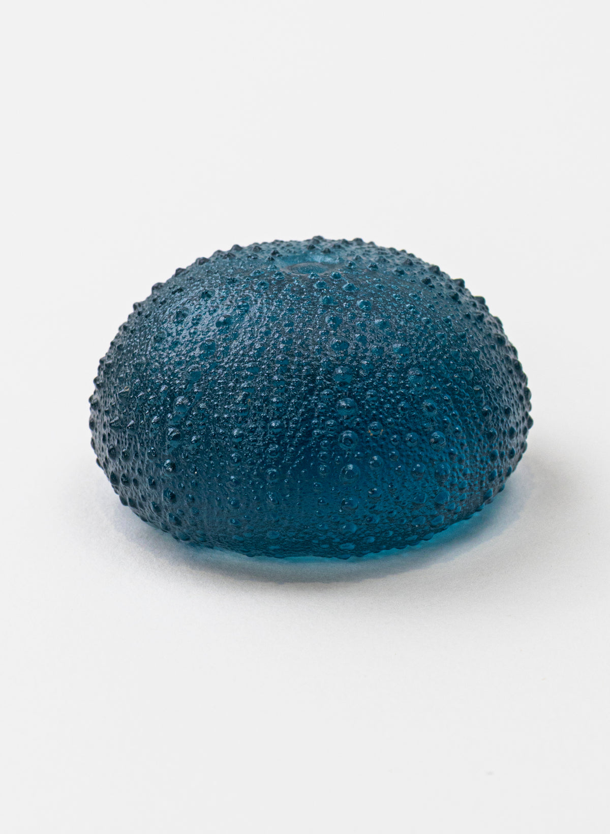 2XL Sea Urchin - Sea Blue