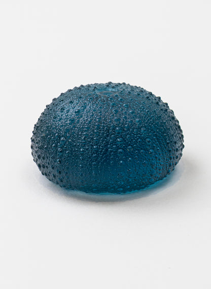 2XL Sea Urchin - Sea Blue