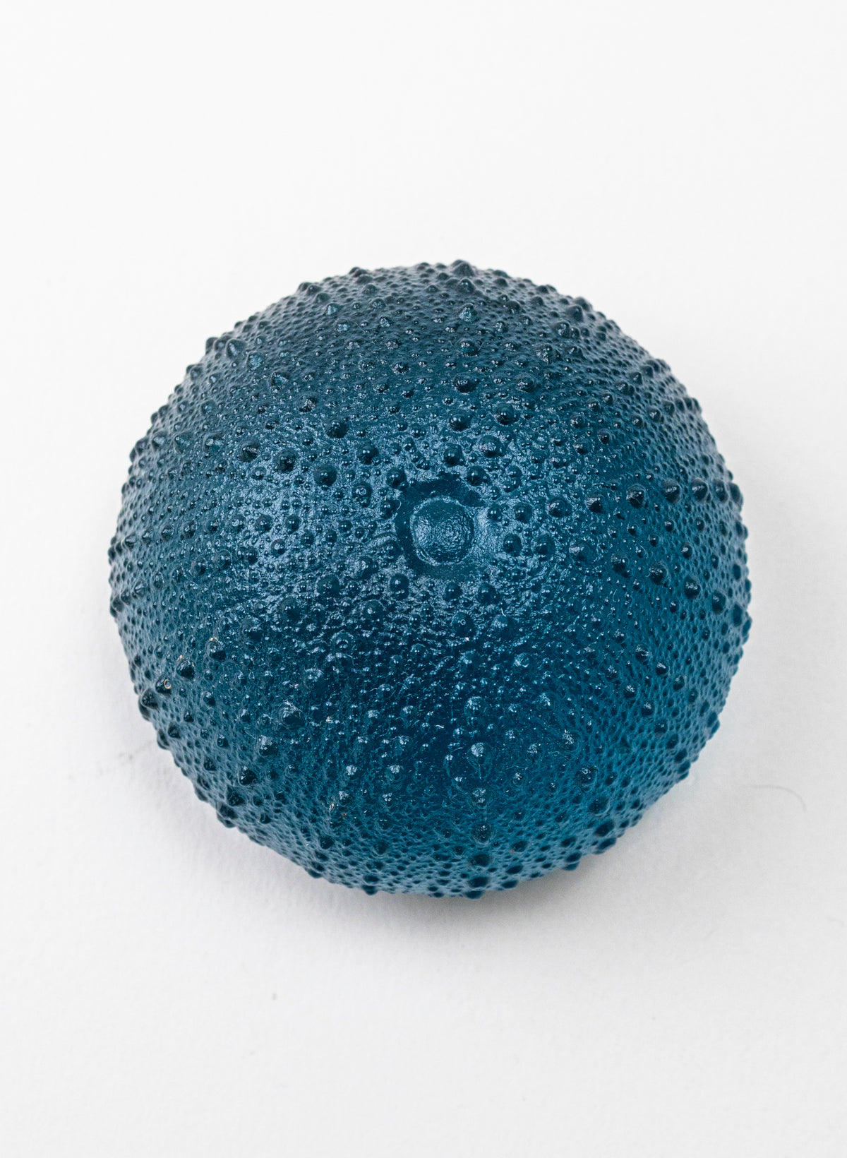 2XL Sea Urchin - Sea Blue