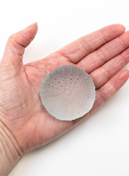 Medium Sea Urchin - Pale Lagoon