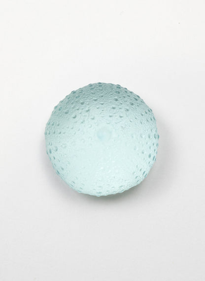 Medium Sea Urchin - Pale Lagoon
