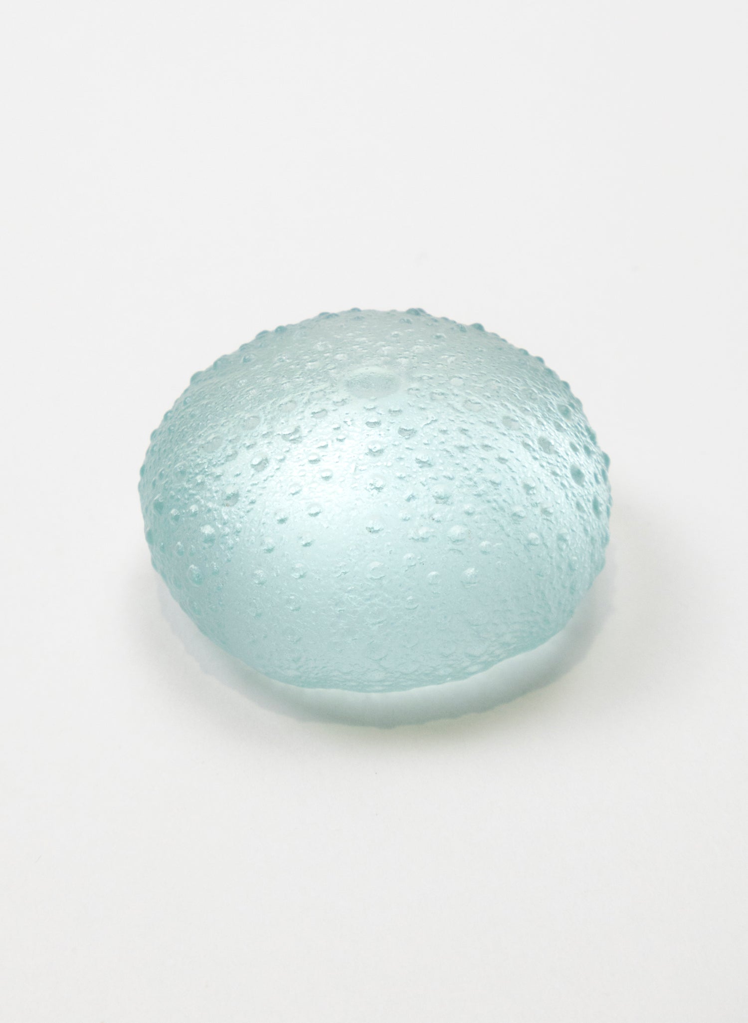Medium Sea Urchin - Pale Lagoon