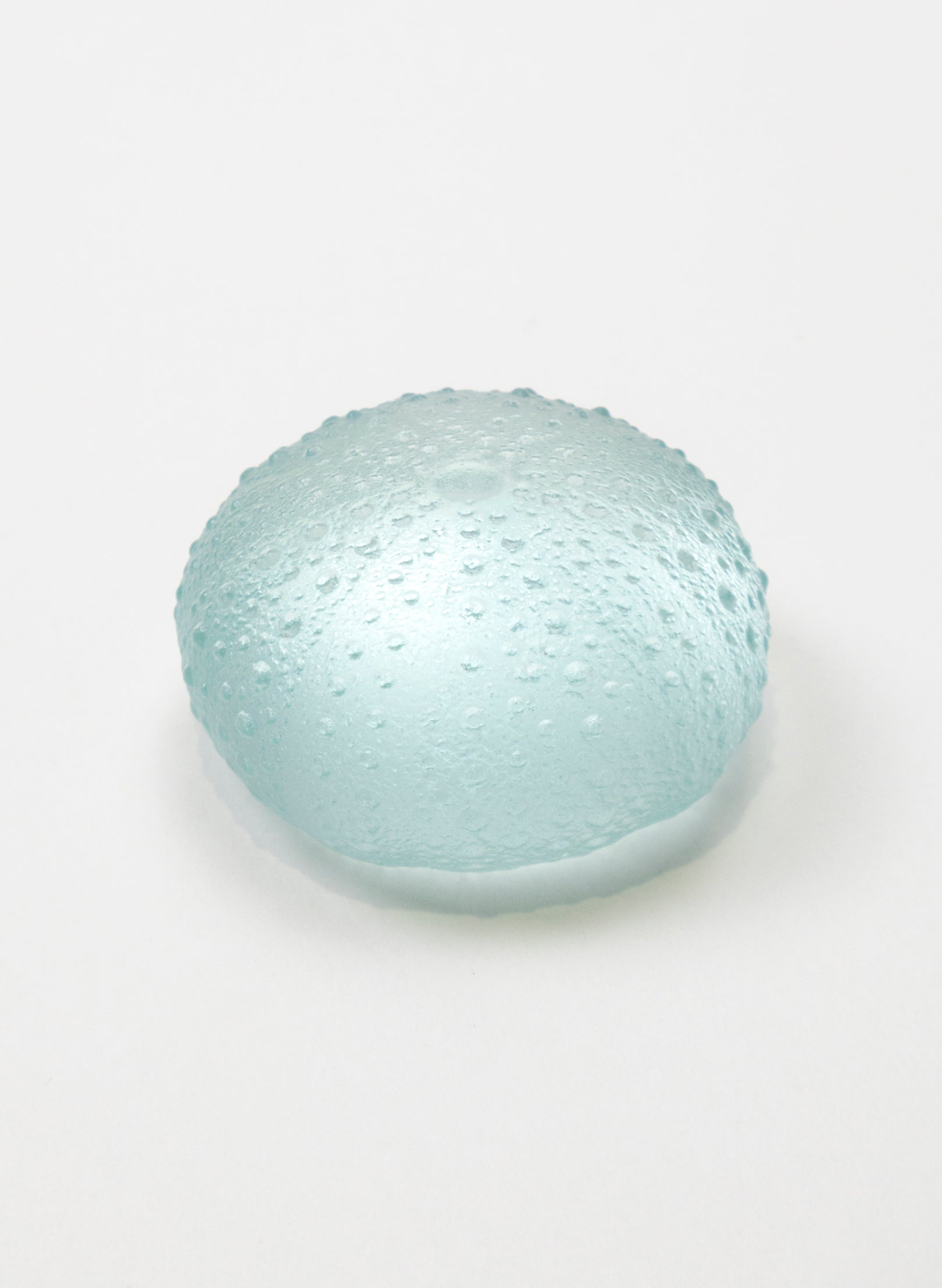 Medium Sea Urchin - Pale Lagoon