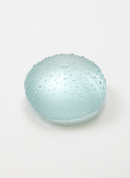Medium Sea Urchin - Pale Lagoon