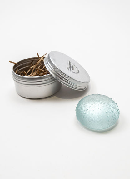 Large Sea Urchin - Pale Lagoon