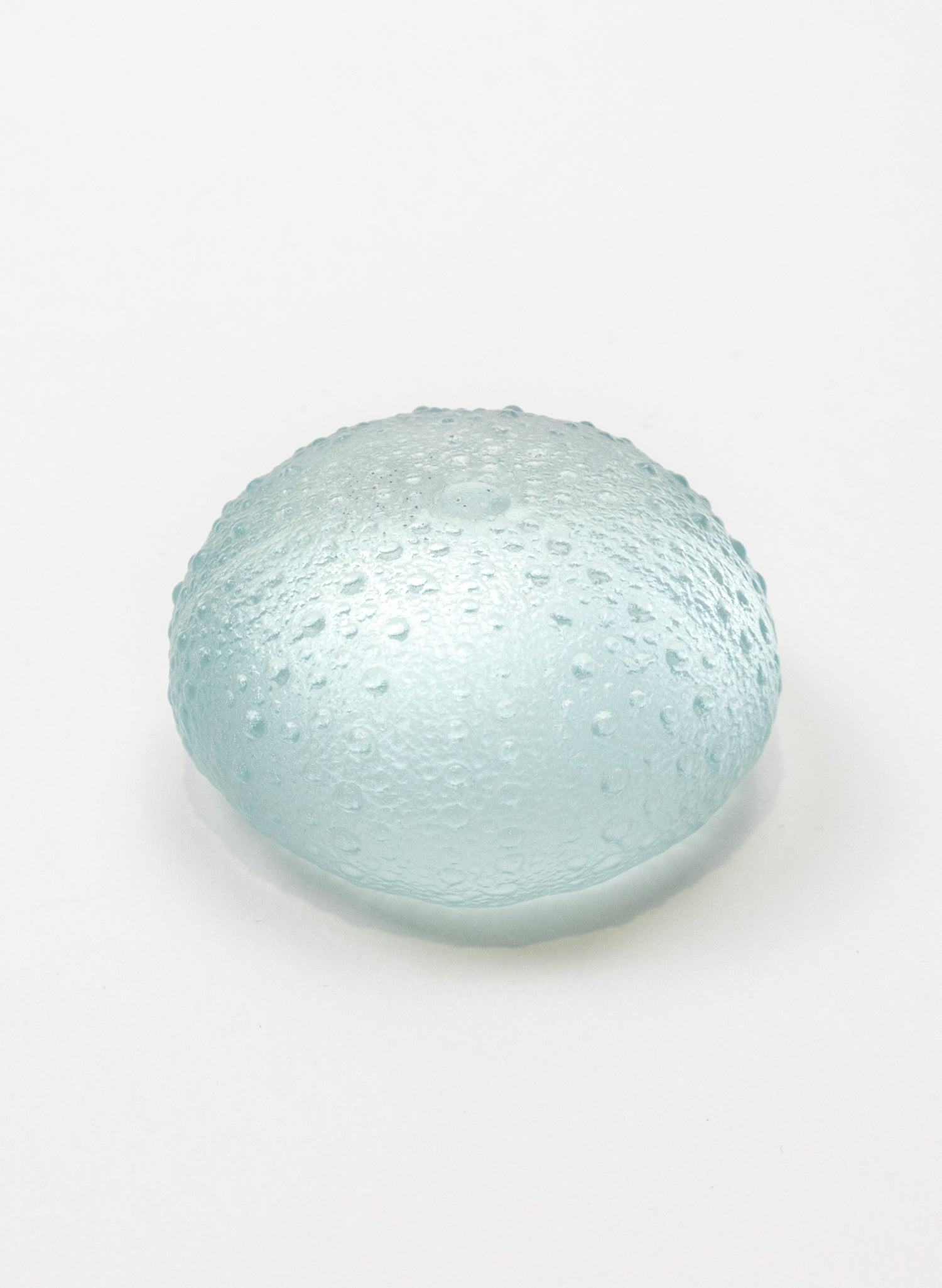 Large Sea Urchin - Pale Lagoon