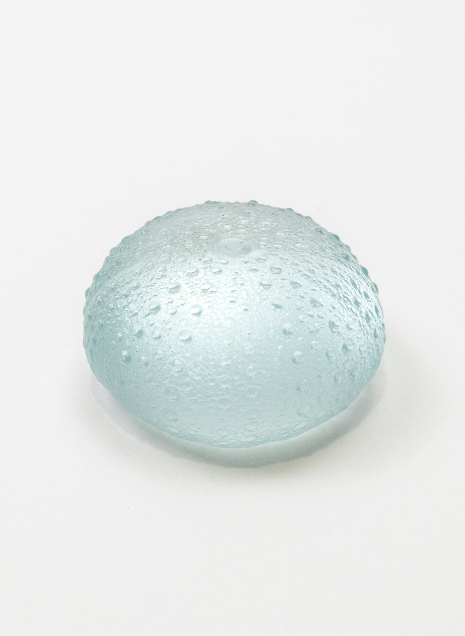 Large Sea Urchin - Pale Lagoon