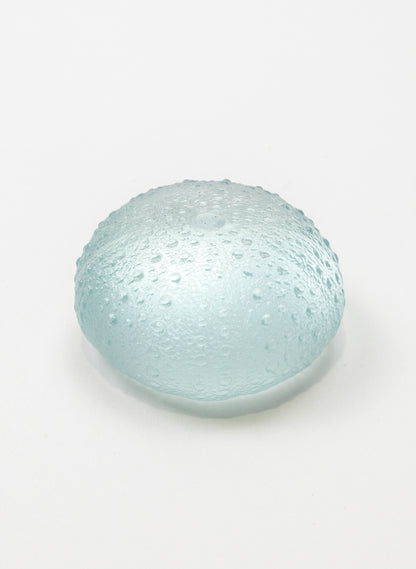 Large Sea Urchin - Pale Lagoon