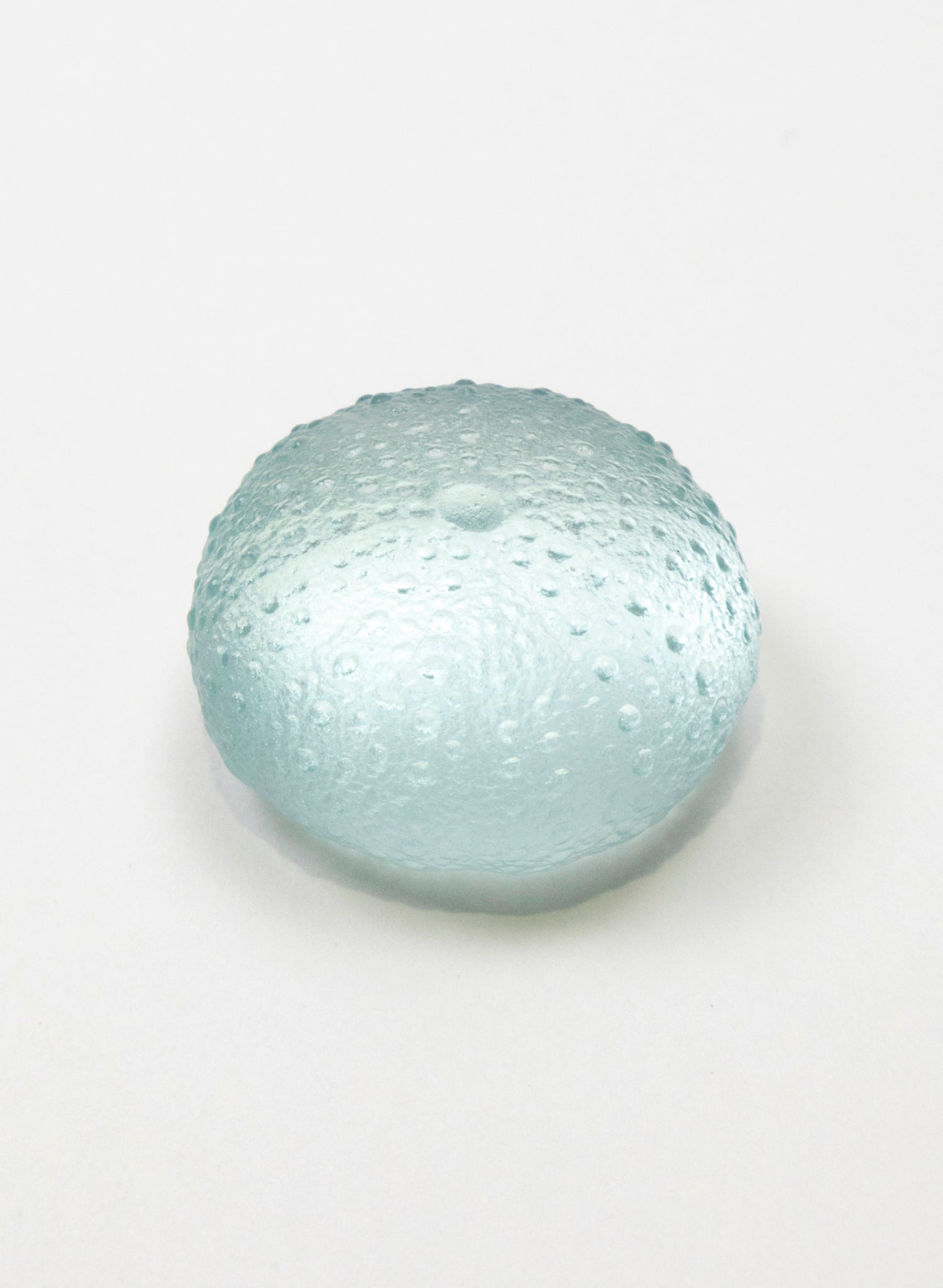 Small Sea Urchin - Pale Lagoon