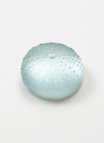 Small Sea Urchin - Pale Lagoon