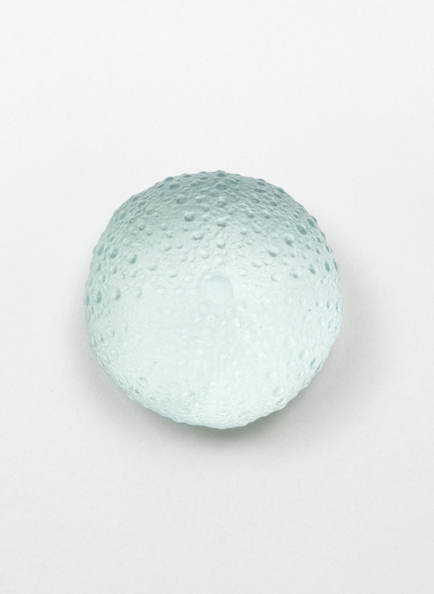 Small Sea Urchin - Pale Lagoon