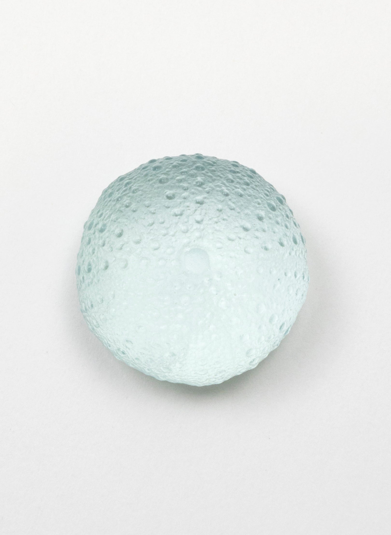 Small Sea Urchin - Pale Lagoon