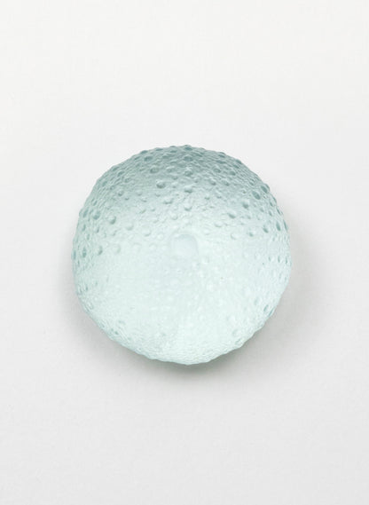 Small Sea Urchin - Pale Lagoon