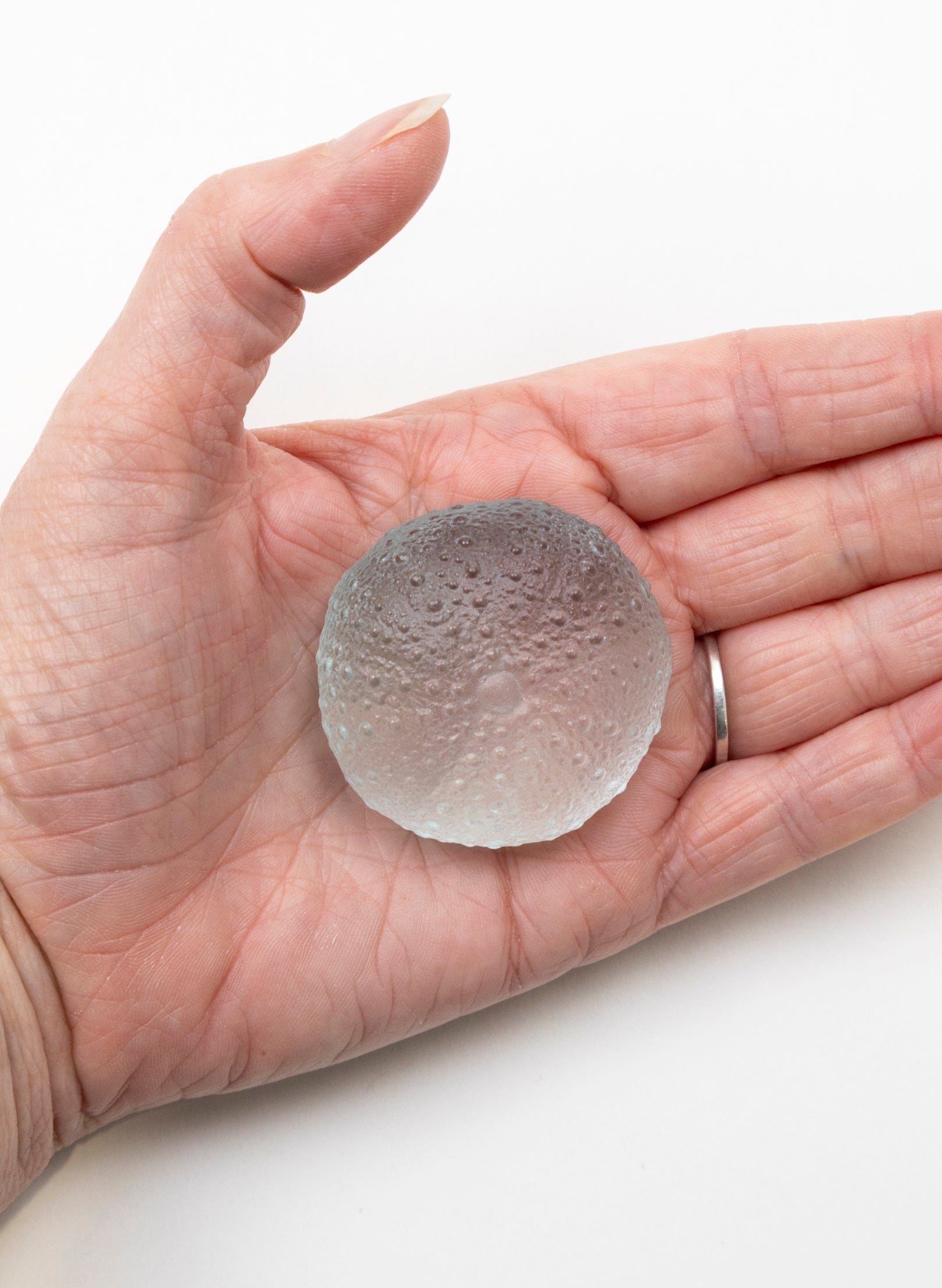 Small Sea Urchin - Pale Lagoon