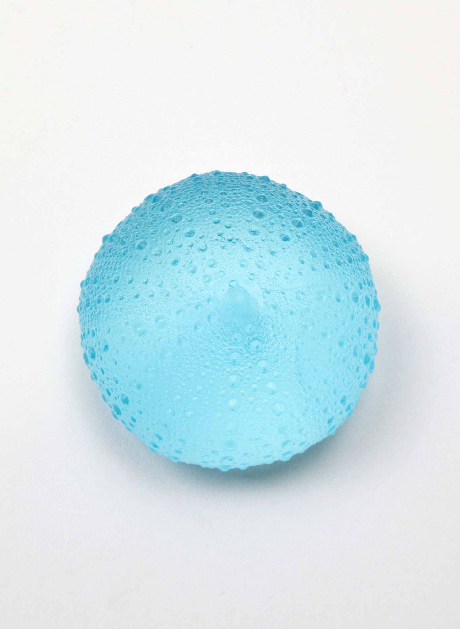 1XL Sea Urchin - Light Aqua