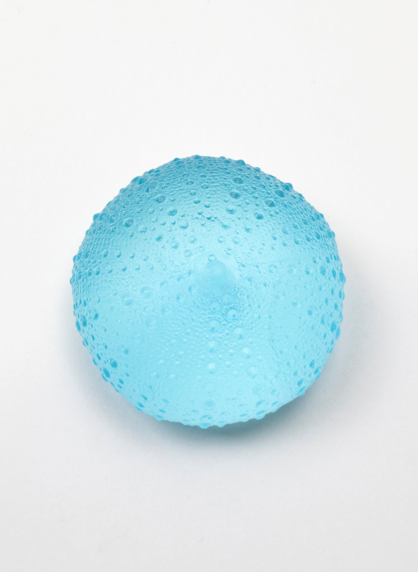 1XL Sea Urchin - Light Aqua