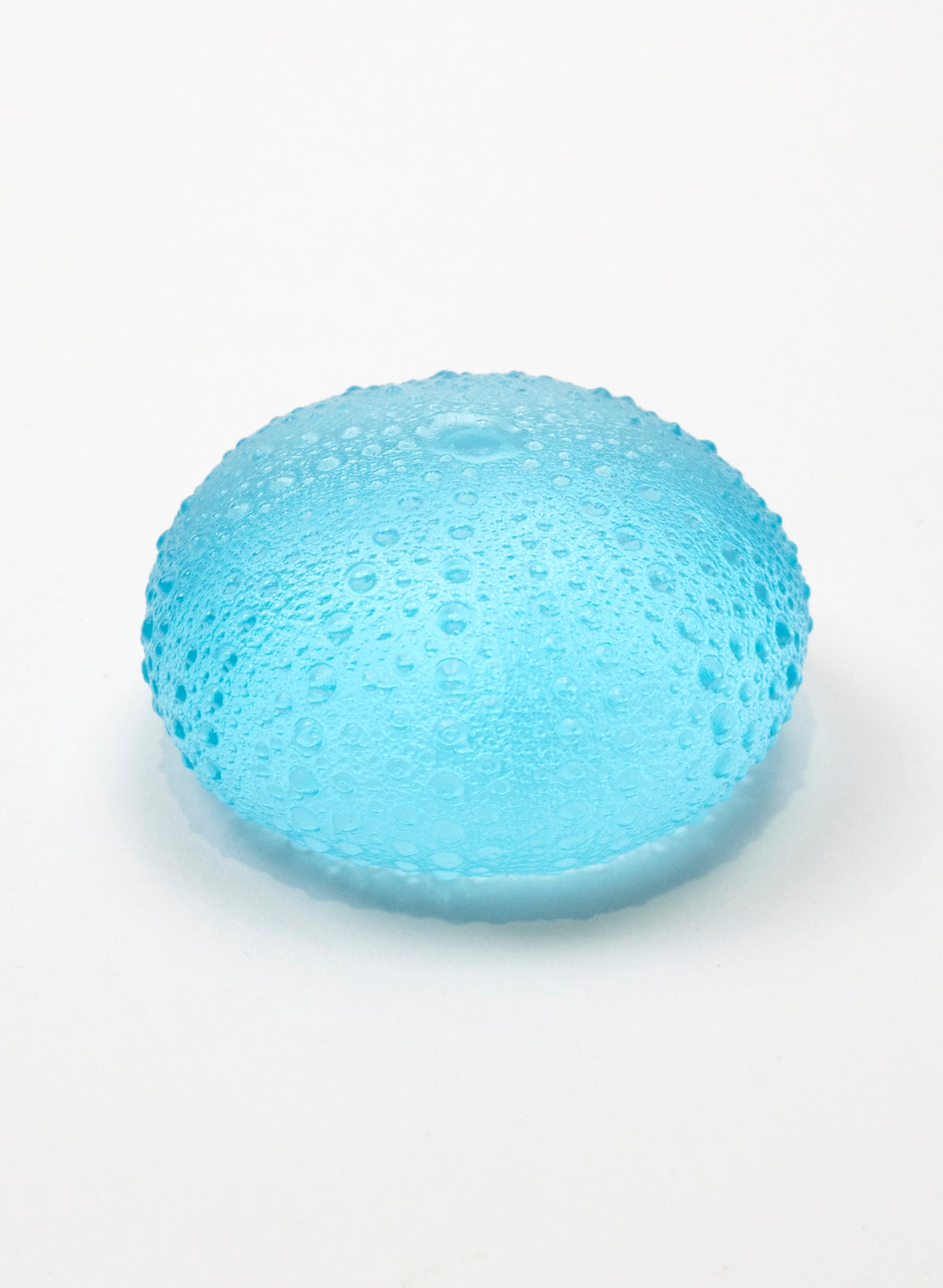 1XL Sea Urchin - Light Aqua