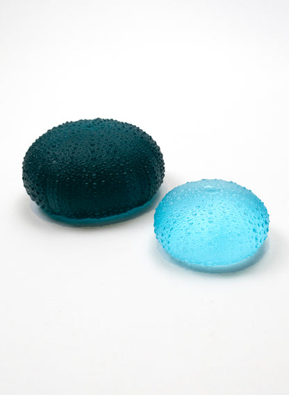 1XL Sea Urchin - Light Aqua