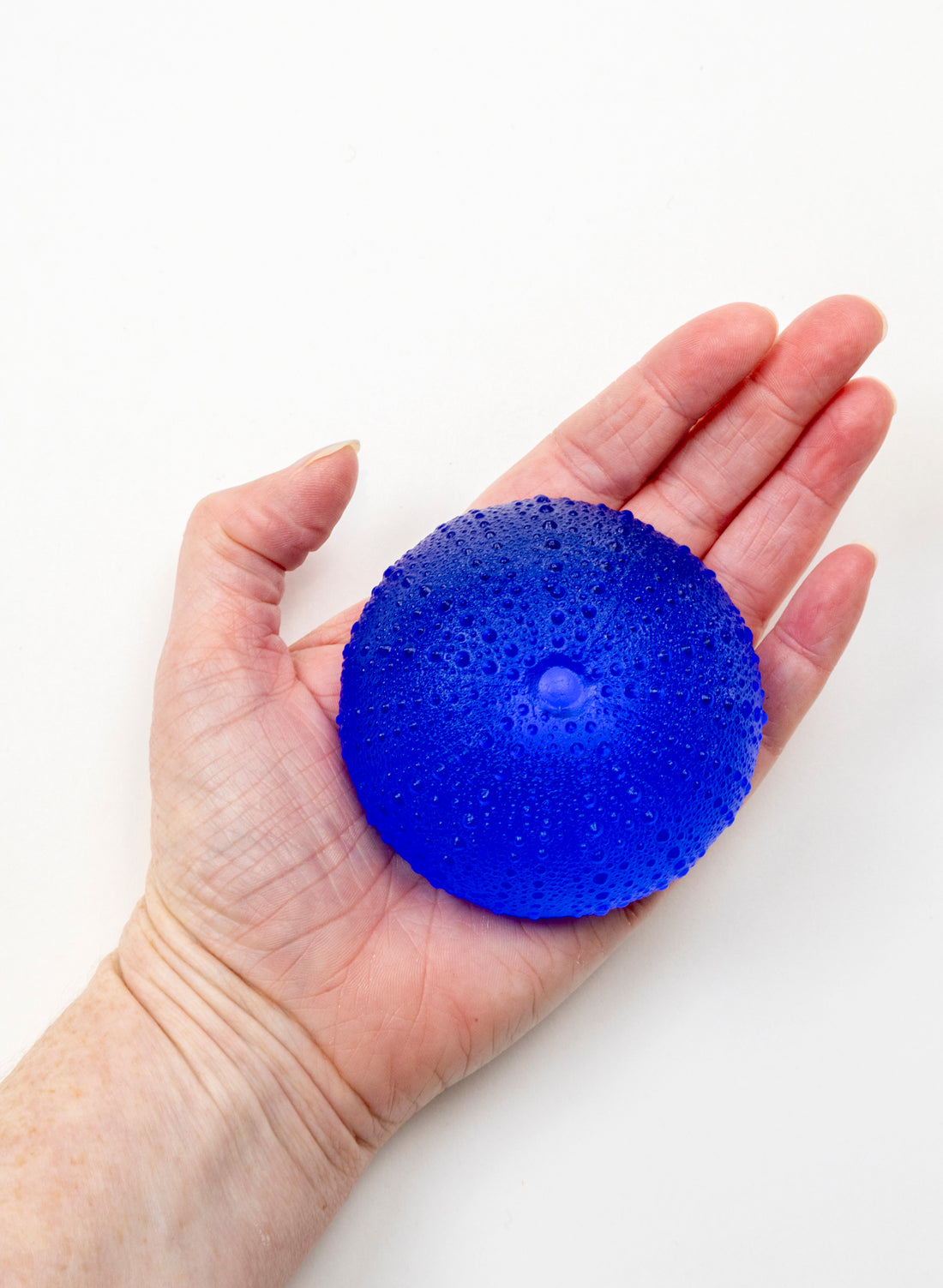 3XL Sea Urchin - Mid Blue