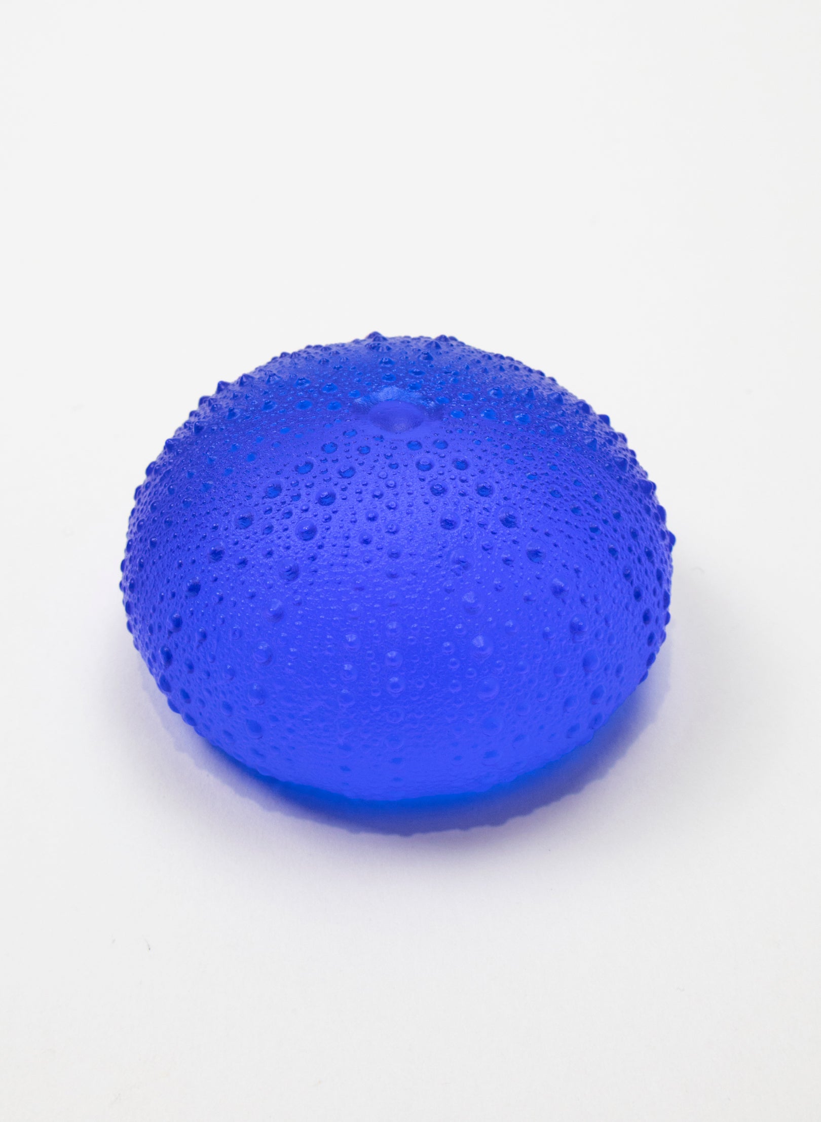 3XL Sea Urchin - Mid Blue