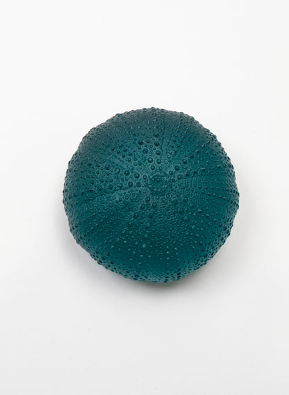 5XL Sea Urchin - Jade