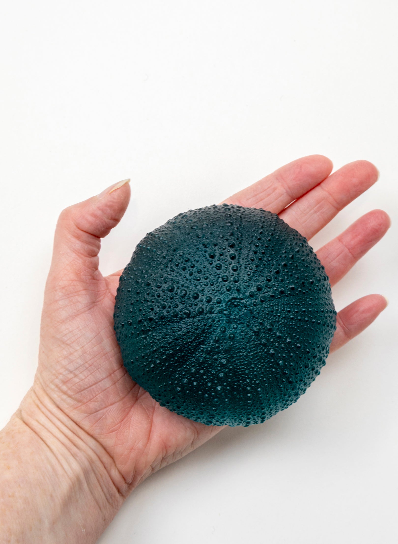 5XL Sea Urchin - Jade