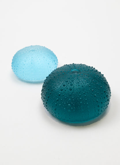 3XL Sea Urchin - Jade